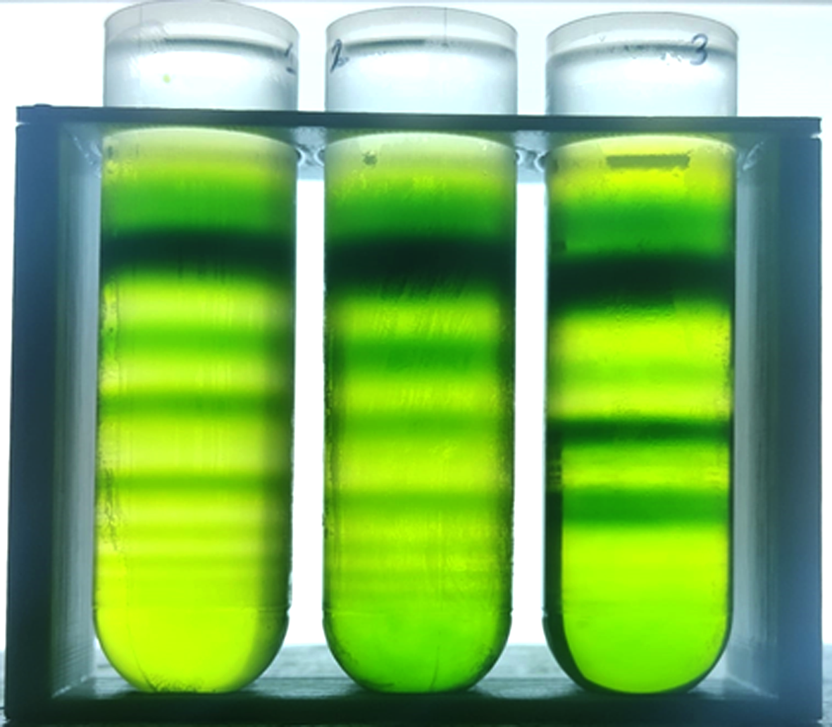 photobiolab
