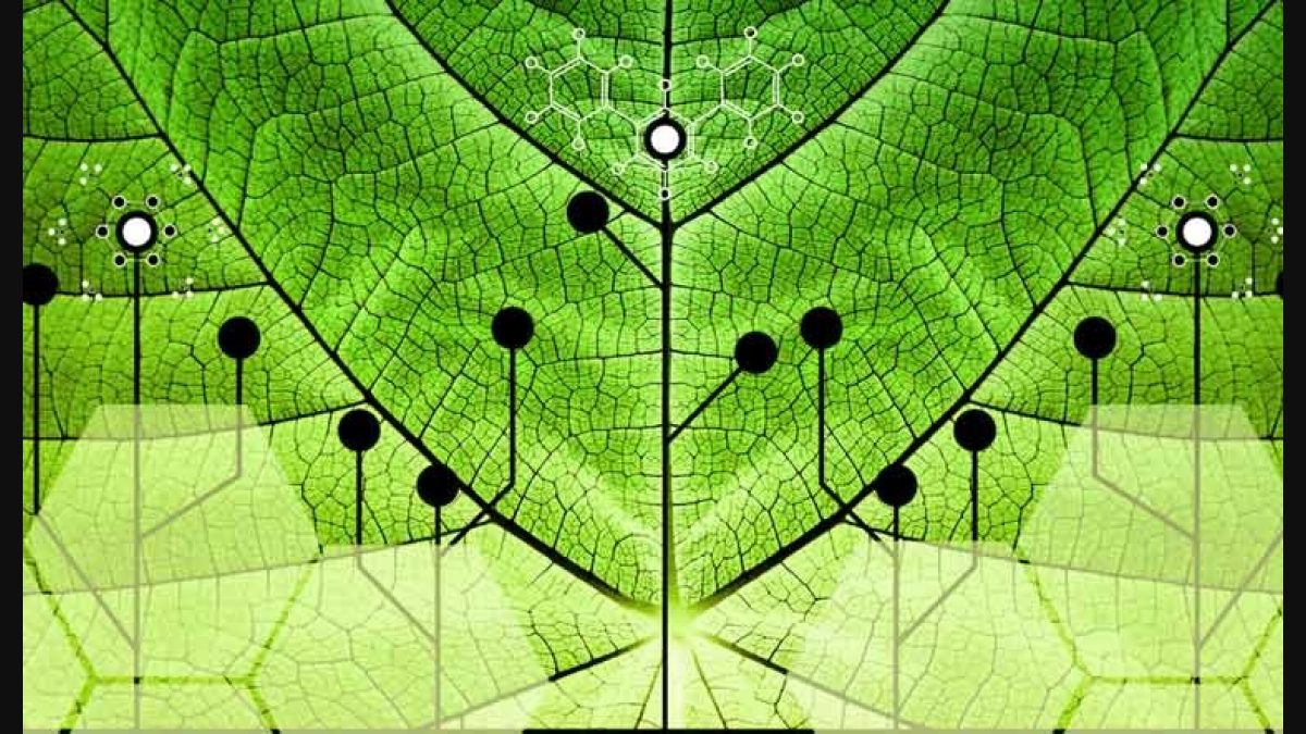 photobiolab