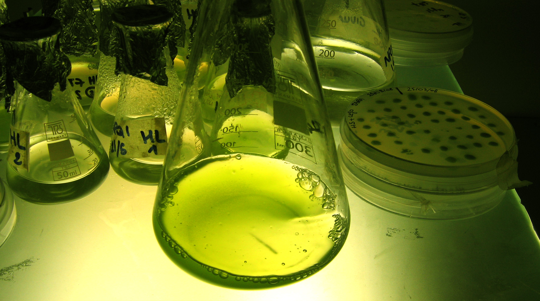 photobiolab